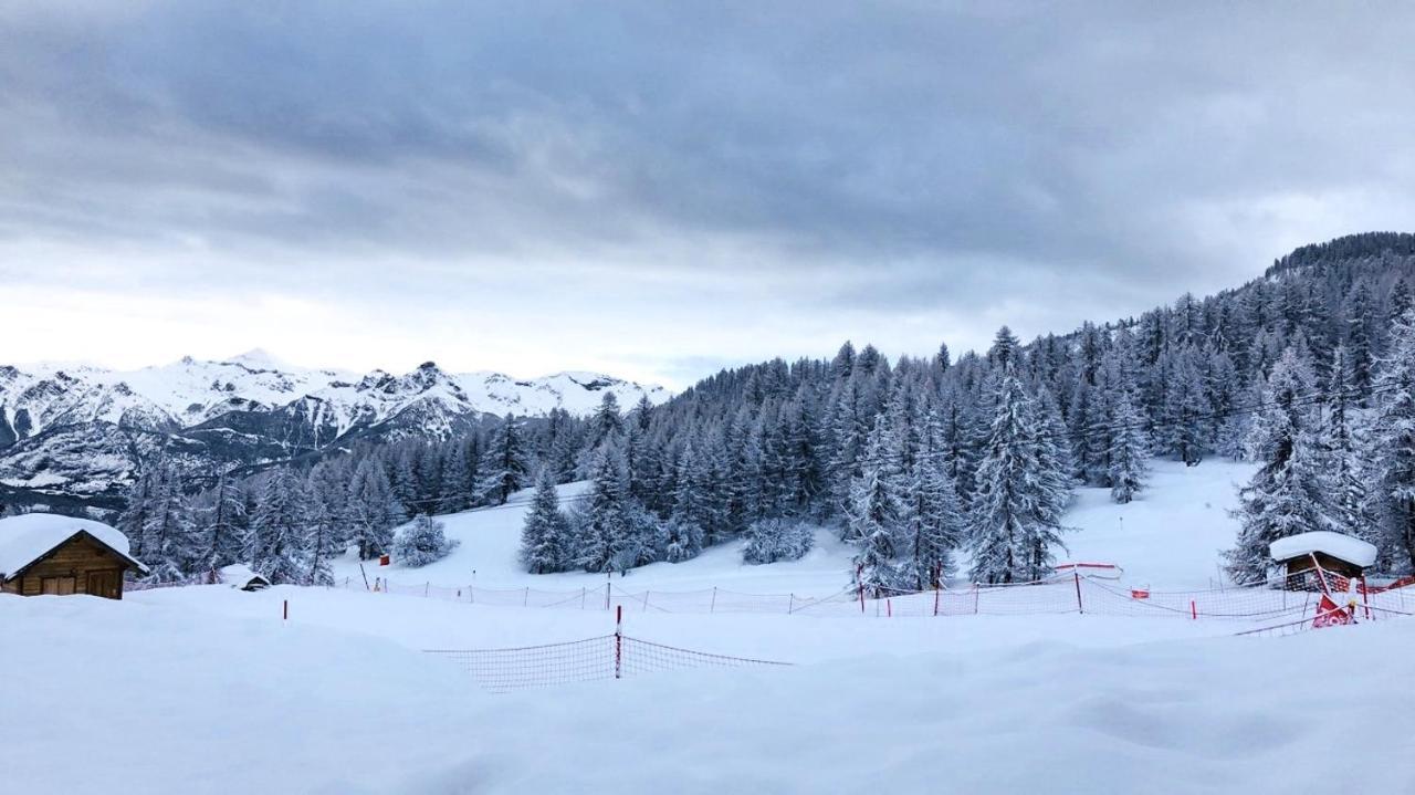 شقة Les Chalets Du Parc Aux Etoiles - Cimes Et Neige بوي-سانت-فينسينت المظهر الخارجي الصورة